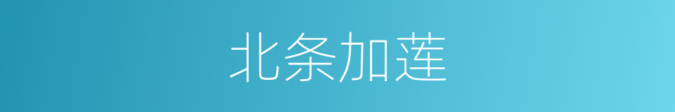 北条加莲的同义词