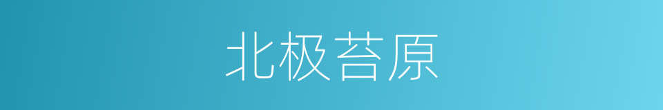 北极苔原的同义词