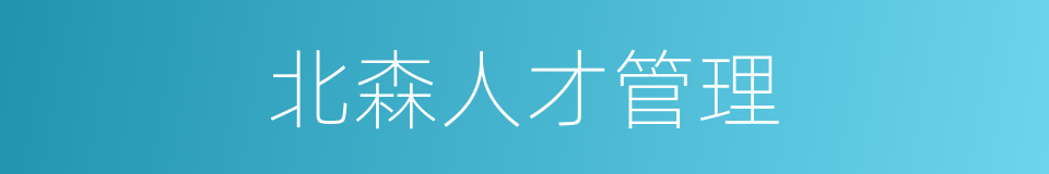 北森人才管理的同义词
