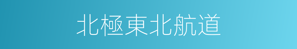北極東北航道的同義詞