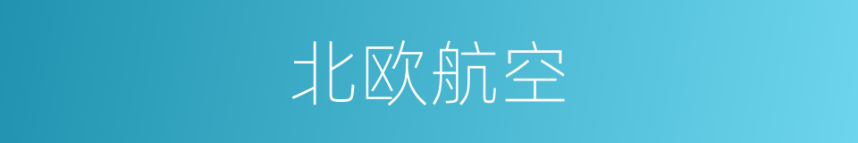 北欧航空的同义词