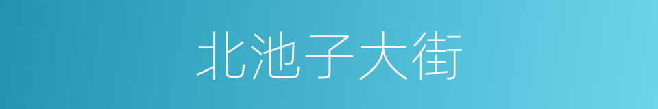 北池子大街的同义词