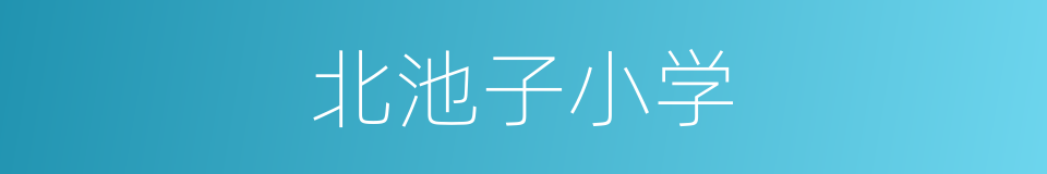 北池子小学的同义词