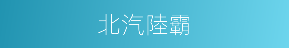 北汽陸霸的同義詞