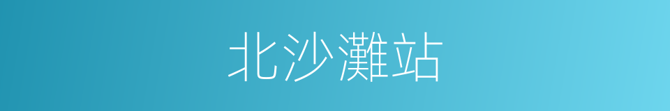 北沙灘站的同義詞