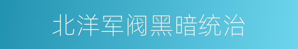 北洋军阀黑暗统治的同义词