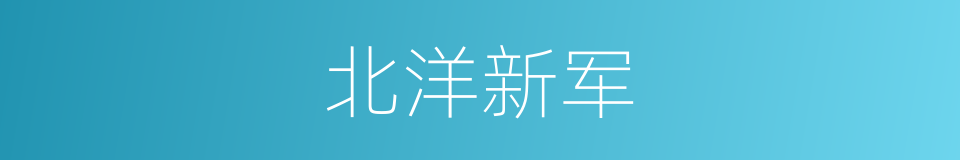 北洋新军的同义词