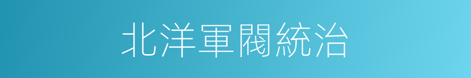 北洋軍閥統治的同義詞