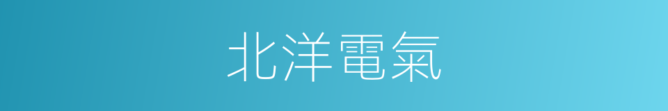 北洋電氣的同義詞