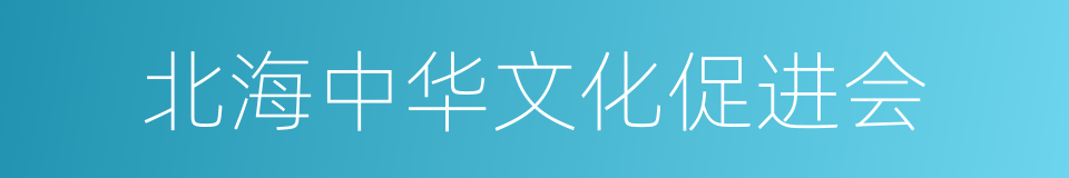 北海中华文化促进会的同义词