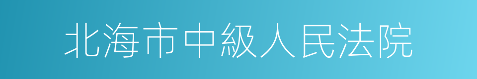 北海市中級人民法院的同義詞