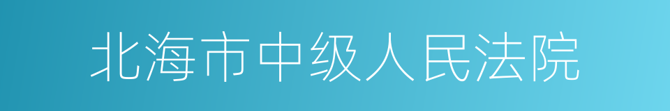 北海市中级人民法院的同义词