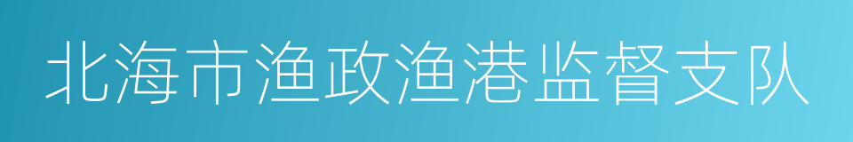 北海市渔政渔港监督支队的同义词