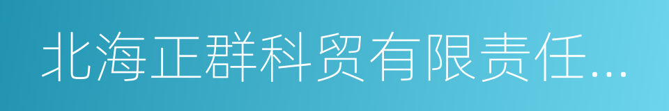 北海正群科贸有限责任公司的同义词