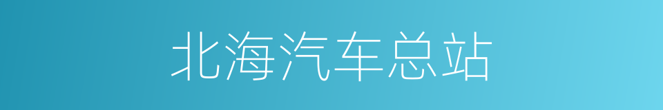 北海汽车总站的同义词