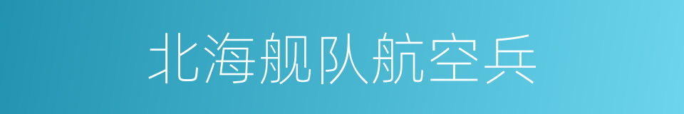 北海舰队航空兵的同义词