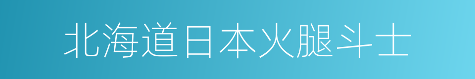 北海道日本火腿斗士的同义词