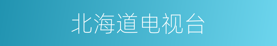 北海道电视台的同义词