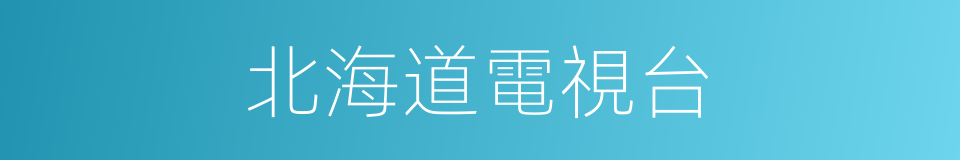 北海道電視台的同義詞