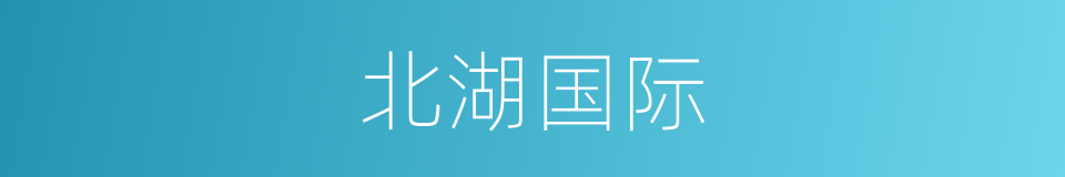 北湖国际的同义词