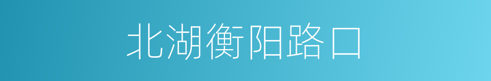 北湖衡阳路口的同义词