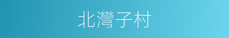 北灣子村的同義詞