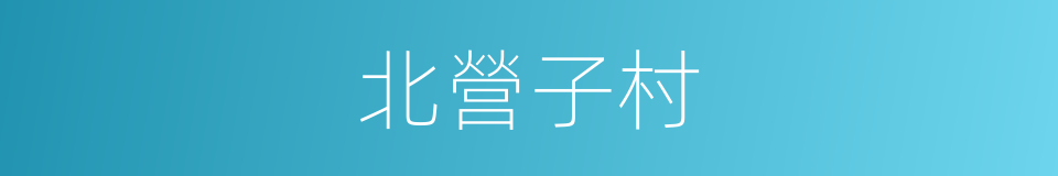 北營子村的同義詞