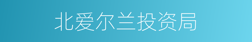 北爱尔兰投资局的同义词