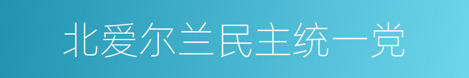 北爱尔兰民主统一党的同义词