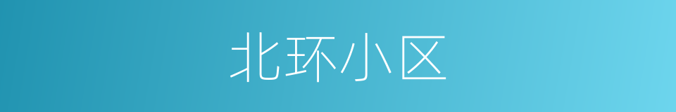 北环小区的同义词