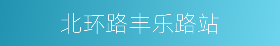 北环路丰乐路站的同义词