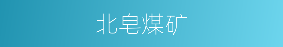 北皂煤矿的同义词