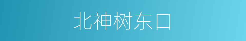 北神树东口的同义词