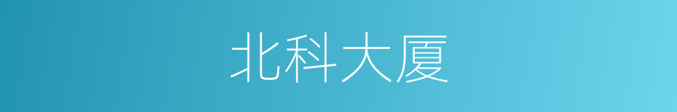 北科大厦的同义词