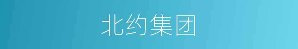 北约集团的同义词
