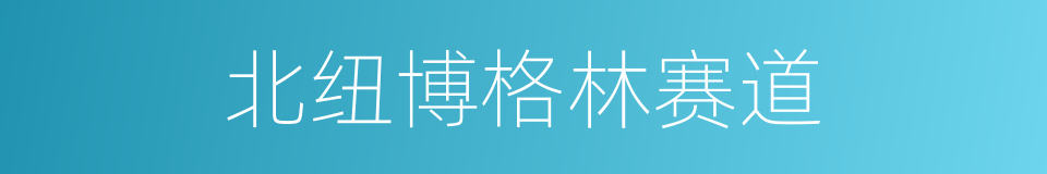 北纽博格林赛道的同义词