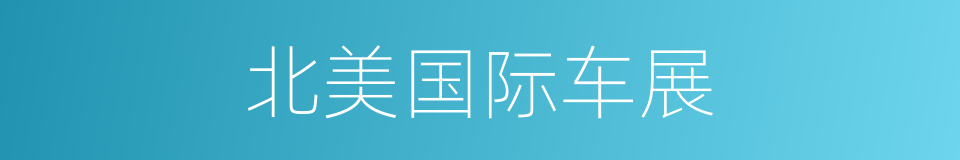 北美国际车展的同义词