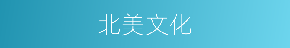 北美文化的同义词