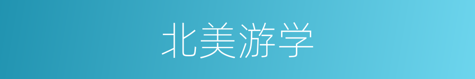 北美游学的同义词