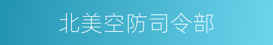 北美空防司令部的同义词