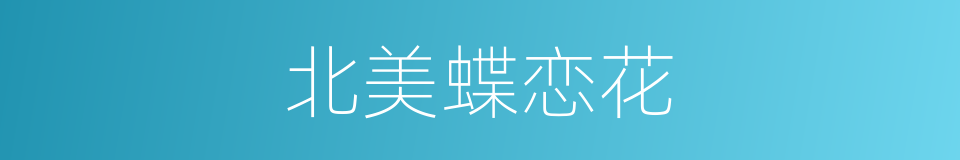 北美蝶恋花的同义词