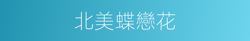 北美蝶戀花的同義詞