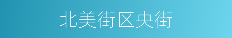 北美街区央街的同义词
