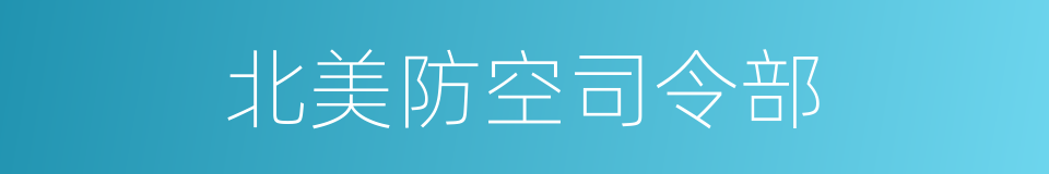 北美防空司令部的同义词