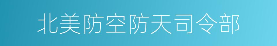 北美防空防天司令部的同义词