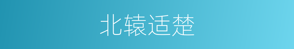 北辕适楚的意思