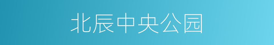 北辰中央公园的同义词