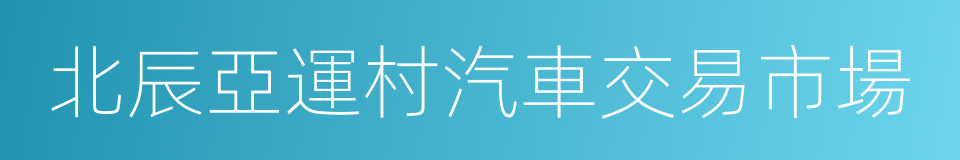 北辰亞運村汽車交易市場的同義詞
