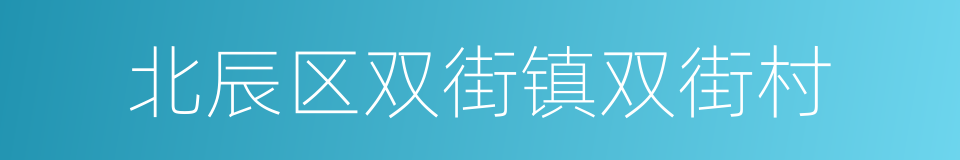 北辰区双街镇双街村的同义词