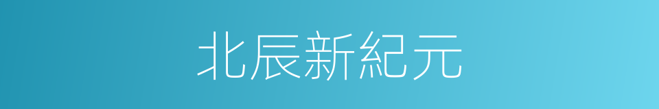 北辰新紀元的同義詞
